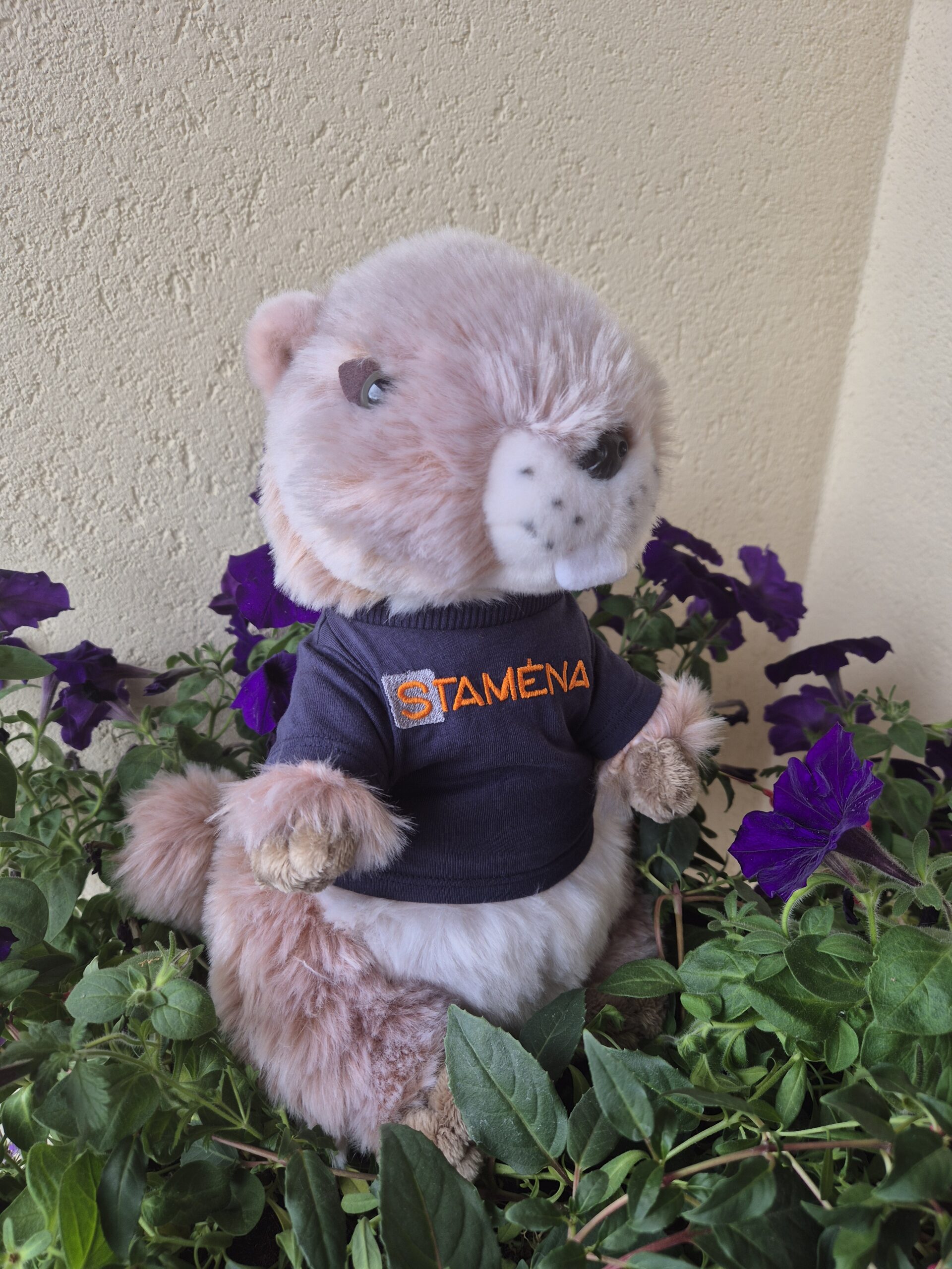 peluche brodée
